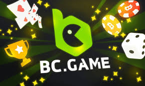 Everything You Need to Know About the BC Application