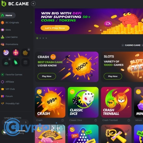 Everything You Need to Know About the BC Application