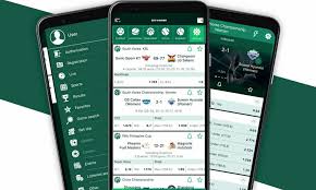 How to Navigate the BetWinner Sign In Process